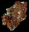 Shiny Red Vanadinite Crystals - Morocco #32332-1